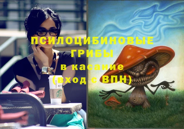 ешки Алексин