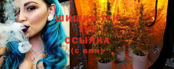 гашик Алексеевка