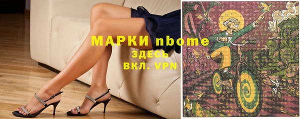 гашик Алексеевка