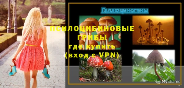 ешки Алексин