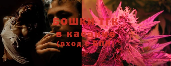 ешки Алексин