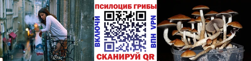 Псилоцибиновые грибы мухоморы Пугачёв