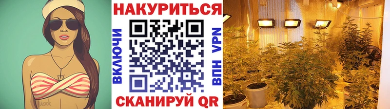 Бошки марихуана планчик  закладки  Пугачёв 